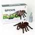 Nuotoliniu būdu valdomas TARANTULA voras + PILOTAS